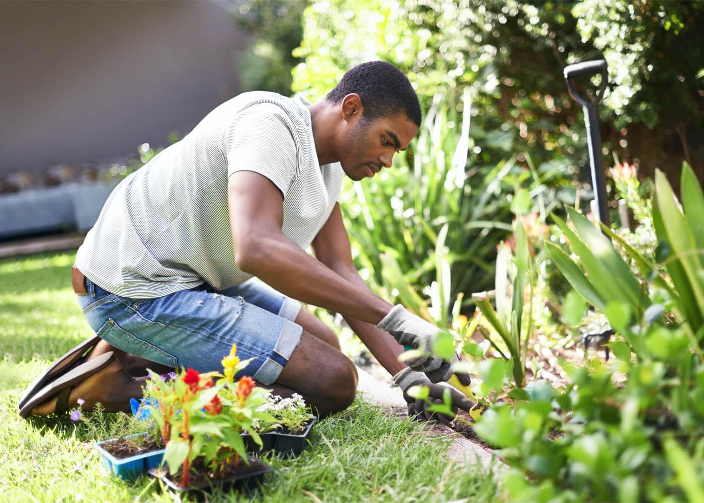 Gardener